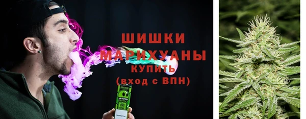 индика Богданович