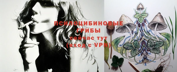 PSILOCYBIN Михайлов