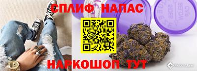 гидропоника Гагарин
