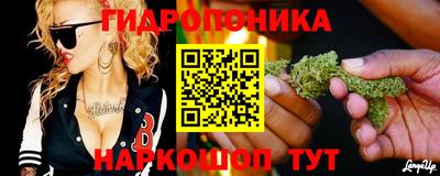 гидропоника Гагарин