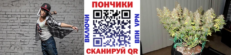 shop телеграм  Донской  Каннабис тримм 